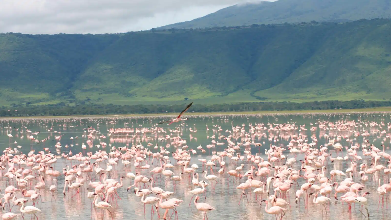 Lago Magadi (lago de sosa)