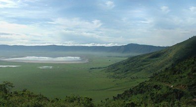 Excursión de un día al cráter del Ngorongoro desde Arusha/Moshi
